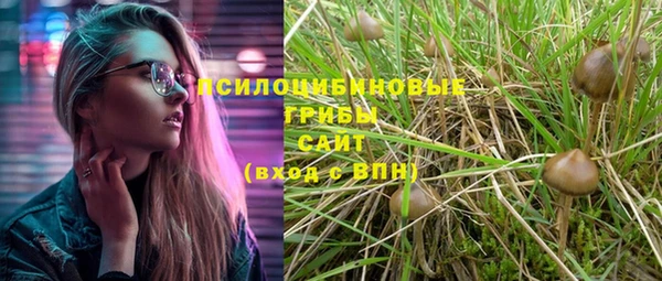 мяу мяу мука Алексеевка