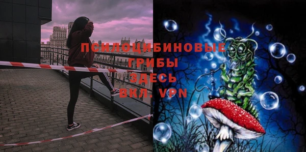 мяу мяу мука Алексеевка