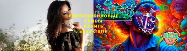 Альфа ПВП Алзамай