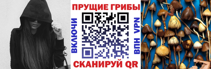Галлюциногенные грибы прущие грибы  закладка  blacksprut ссылка  Бикин 